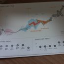 뮤지엄오크