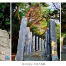 동피랑사람들 이미지