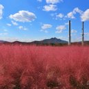 하늘농원1호 이미지