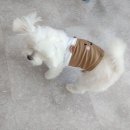 견생제과점 이미지