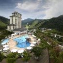 엘리시안강촌수영장 이미지