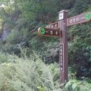 압수천 티스토리
