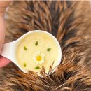 댕댕사우나 이미지