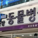 중앙동물병원 네이버블로그