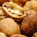 호두미디어 이미지