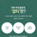 고려슈퍼마켓앞