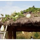 독립-16-03 이미지