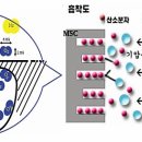 범락길 네이버블로그