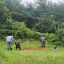 상석목장 이미지