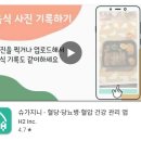 지니앱 | 혈당 체크 앱 슈가지니 어플 추천: 무료 혈당 관리 어플