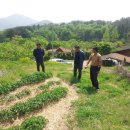 하촌농장 이미지