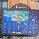 타타버거 | 나트랑 빈원더스 오픈런 티켓구매 타타쇼 알파인코스터 후기 정보 공유합니다