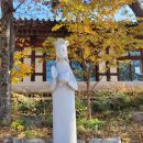 마음을 담아 쓰는 예술 수필쓰기 | 수필을 읽고 쓰는 그 너머에는