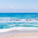 강촌강변마을 이미지