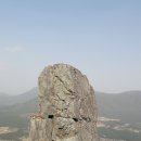 정남진편백 티스토리