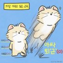 주간요가 이미지