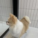 도기살롱 이미지