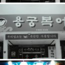 용궁복어 네이버블로그