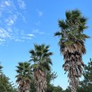 하늘아래둘째집 이미지