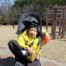 (주)그린랜드 이미지