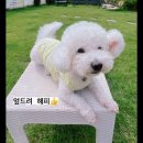 오라켄넬 이미지