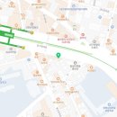 대구고양이분양 원펫 이미지