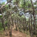 제167차 호산알파클럽 3월 정기산행 이미지