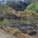 계동마을 이미지