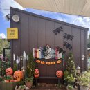 풀빛 | 용인 기흥구 아이랑 가볼 만한 곳 ‘놀이정원풀빛’ 후기✨ 잔디정원·실내대관·바비큐까지 한 번에!