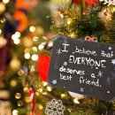 나이스카랜드 이미지