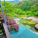 물맑은펜션 이미지