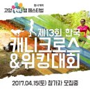 워킹펫 네이버블로그