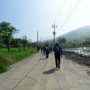 곡성-209 이미지