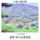 좌구산 오토캠핑장 | 충북여행 증평 가볼만한 곳 좌구산자연휴양림 명상구름다리 가는 길 10월풍경