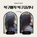 데생 | 성신여대 복구미용실｜탈색모·악성곱슬 복구매직 후기 데생헤어 성신여대 본점, 복구의여왕 제이쌤