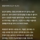 미리 보는 2월 25일,내일의 별자리 운세 이미지