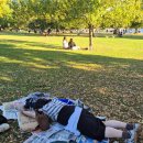 도도상사(J팜) | 뒤늦은 9월 말과 10월 초 일상 몽땅 모아😅(2025.09.17~10.04)