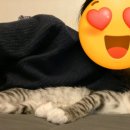 강산동물병원 이미지