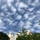 파란하늘치과의원 이미지