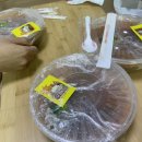 독도얼큰이냉면 이미지