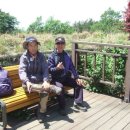 개화산 자락길 이미지