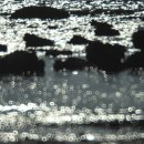 A song of  이미지