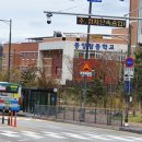 중앙탑중학교 앞 이미지