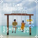 대게뱅크대게BANK | [몰디브 꿀달 ♥3] 디갈리 2일 차 ; 물놀이와 스노클링.