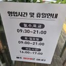 대전 도마동 카페 추천, 커피나무가 있는 도마실카페 방문 후기
