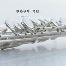 플루트(Flute) 이미지