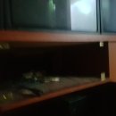 S.B.S노래연습장 이미지