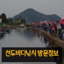 선두바다캠핑장 이미지