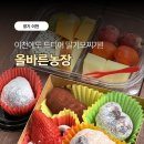 상승농장 | 이천딸기모찌 맛집 찾는다면 여기!이천샐러드·이천과일도시락 맛집 올바른농장 후기 🍓