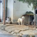 청용3리 이미지